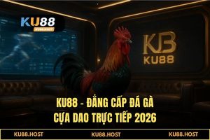 Đá gà cựa dao trực tiếp KU88 - Đấu trường sinh tử 4K, Kèo thơm 2026